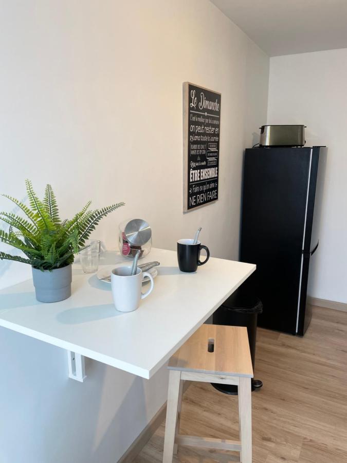 Appartement Du Grand Parc Châteauroux Exterior foto